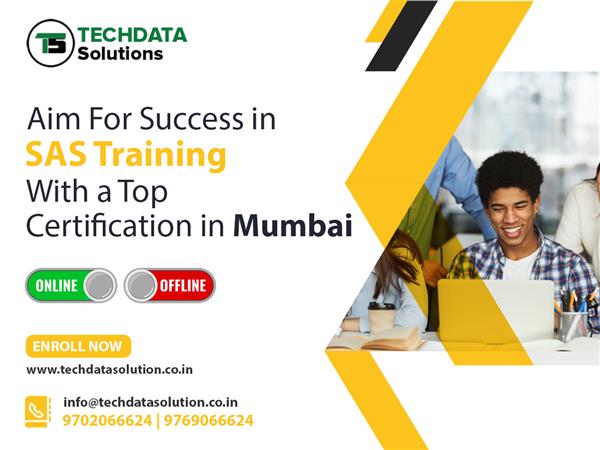 Achieve Your Dream With The Help Of SAS Training